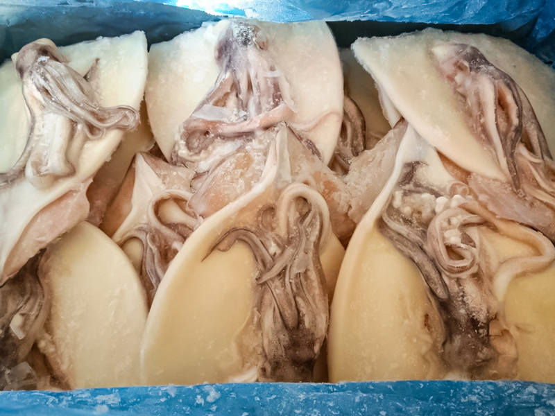 What are the nutritional values of squid?