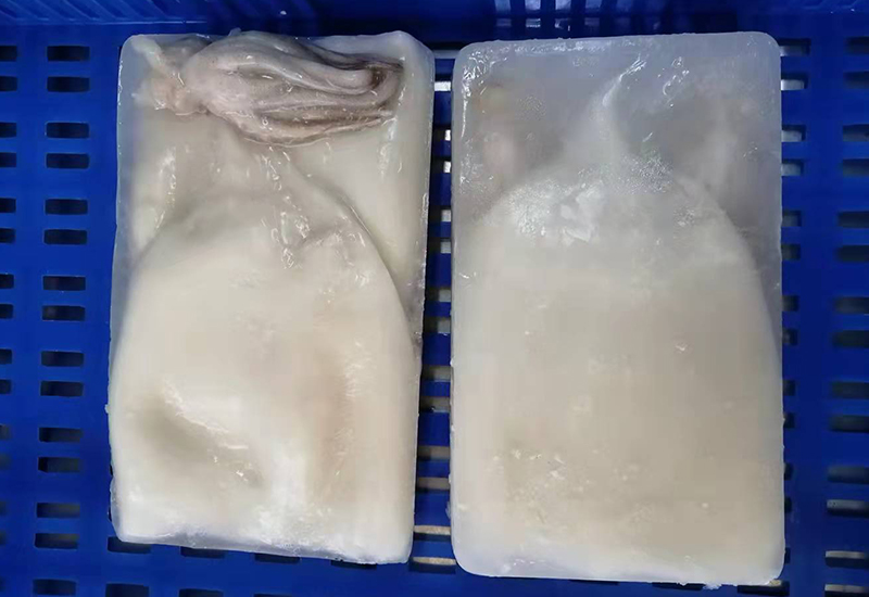 Frozen Clean Squid Fillet With Tentacle