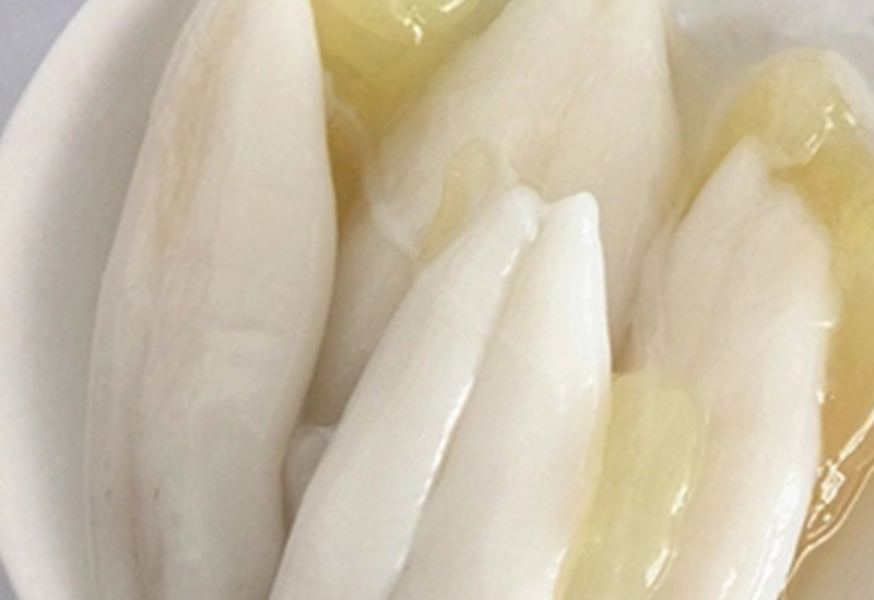 Frozen Squid Egg